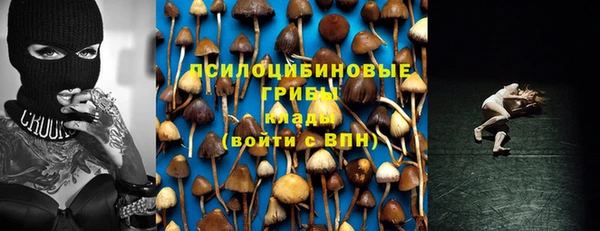 герыч Зеленокумск